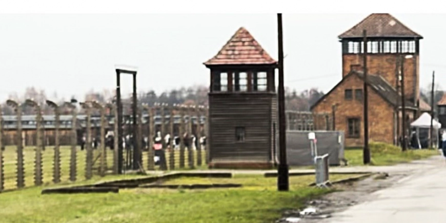 Never Again: Lessons from the Holocaust for Patient Advocates