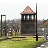 Never Again: Lessons from the Holocaust for Patient Advocates