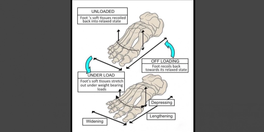 Preventing Secondary Limb Loss: Protecting the Sound Limb in Unilateral Amputees