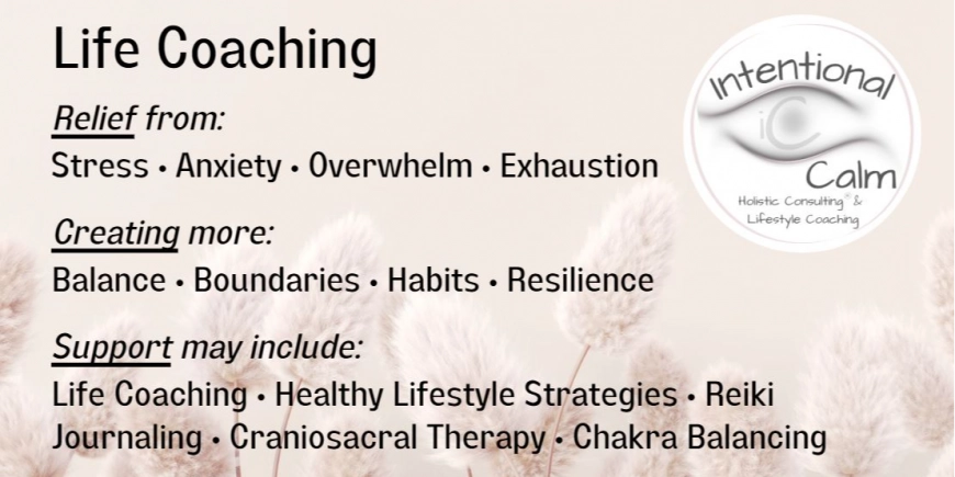 Calming the Chaos: A More Supportive Path Forward